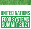 Hincks Hosts UN Food Systems Summit Independent Dialogue